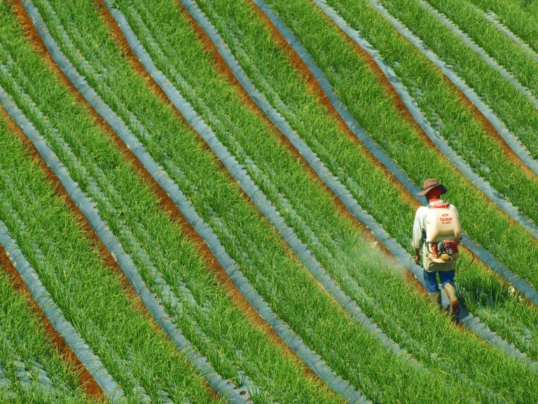 Bayer opretter ny Roundup-enhed – vækker spekulationer om opsplitning