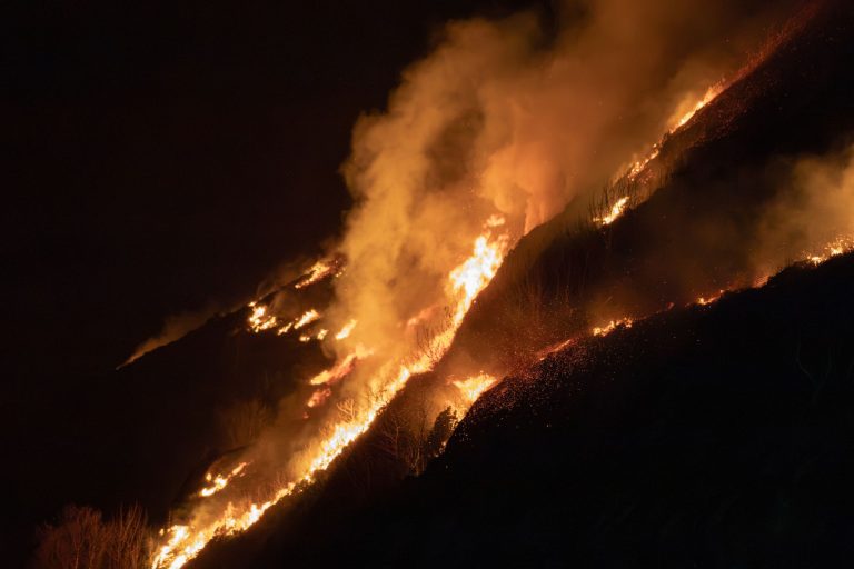 Hedebølge og skovbrande: Forsikringsselskaber ruster sig til ekstrem sommer